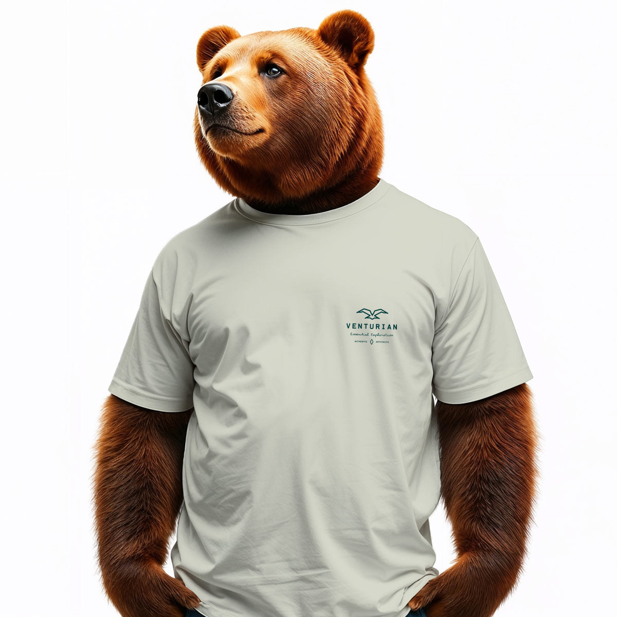 Bear wearing a light gray t-shirt with a logo on a white background