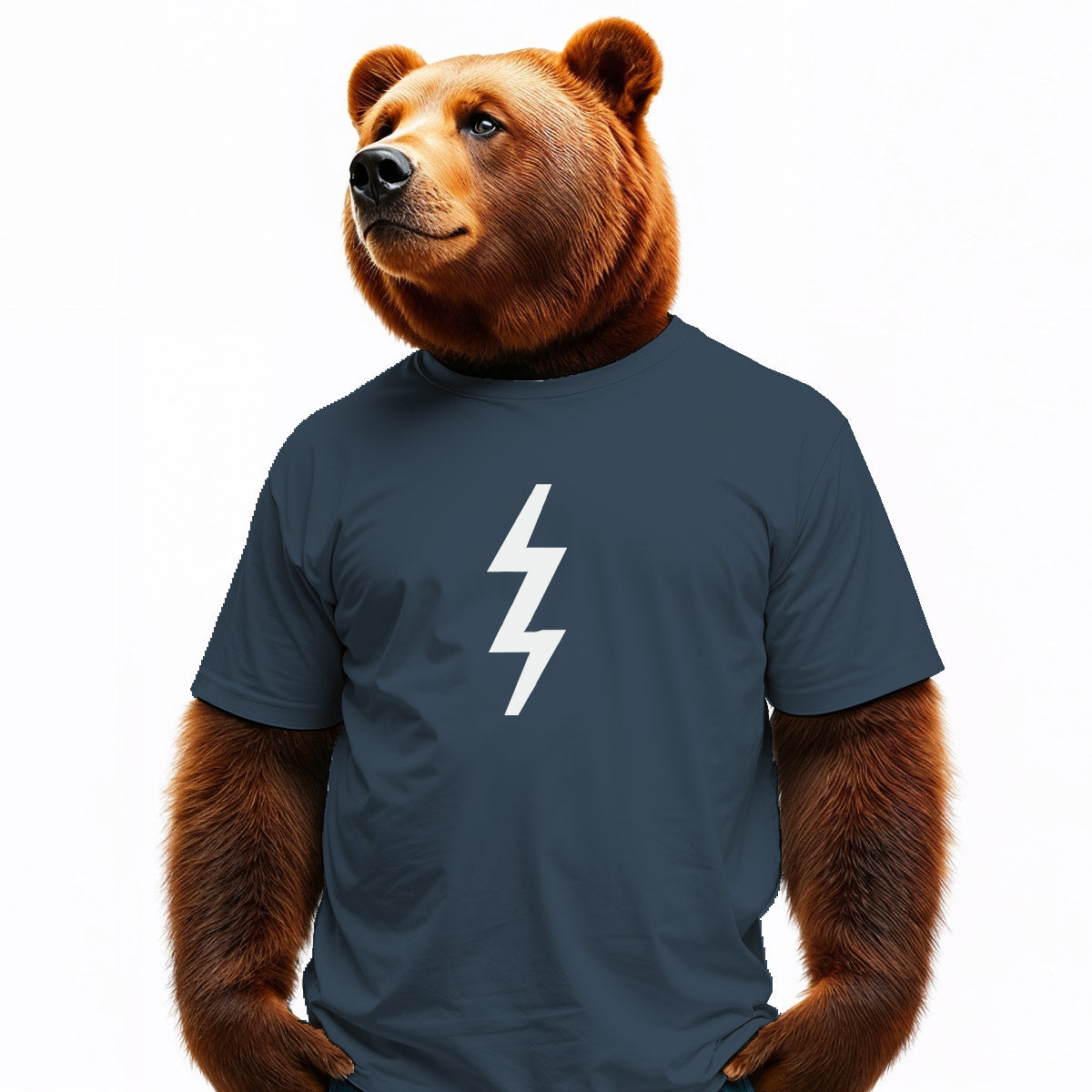 Bear wearing a blue t-shirt with a white lightning bolt design on a white background