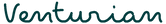 Signature-style text 'Venturian' in teal color on a white background